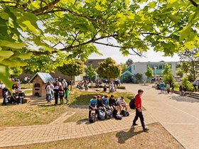 Frühling 354x235-3.jpg